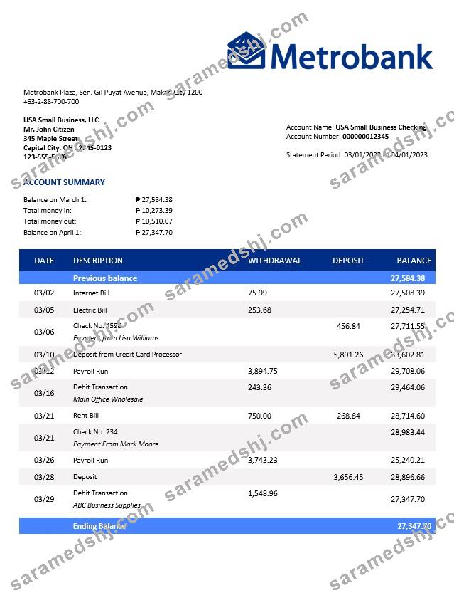 Metrobank enterprise statement Word and PDF template
